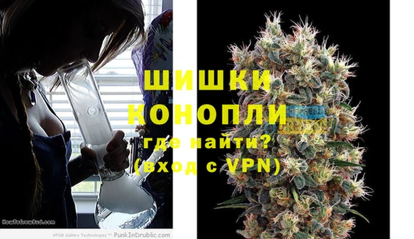 гидра Аркадак
