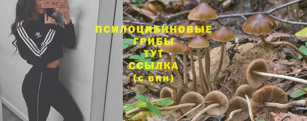 каннабис Арсеньев