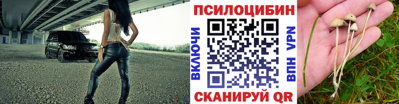 кракен рабочий сайт  Можга  Псилоцибиновые грибы Psilocybine cubensis 
